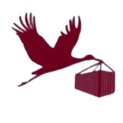 ElitE Cartons and Packaging Logo