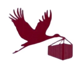 ElitE Cartons and Packaging Logo